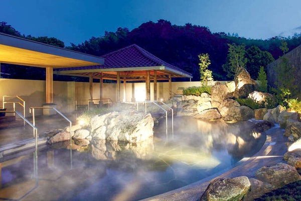 【和歌山市内ルート発】 土佐くろしお鉄道「後免駅・ごめんなはり線」乗車とやなせたかしゆかりの地めぐり、高知県立牧野植物園2日間3